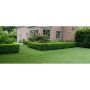 40mm Artificial Grass - Pragma - 4m x 5m