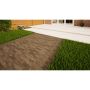 Clay Paving - 200mm x 48mm x 58mm Derby