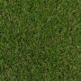 Namgrass 30m Artificial Grass - Burley - 5m x 15m