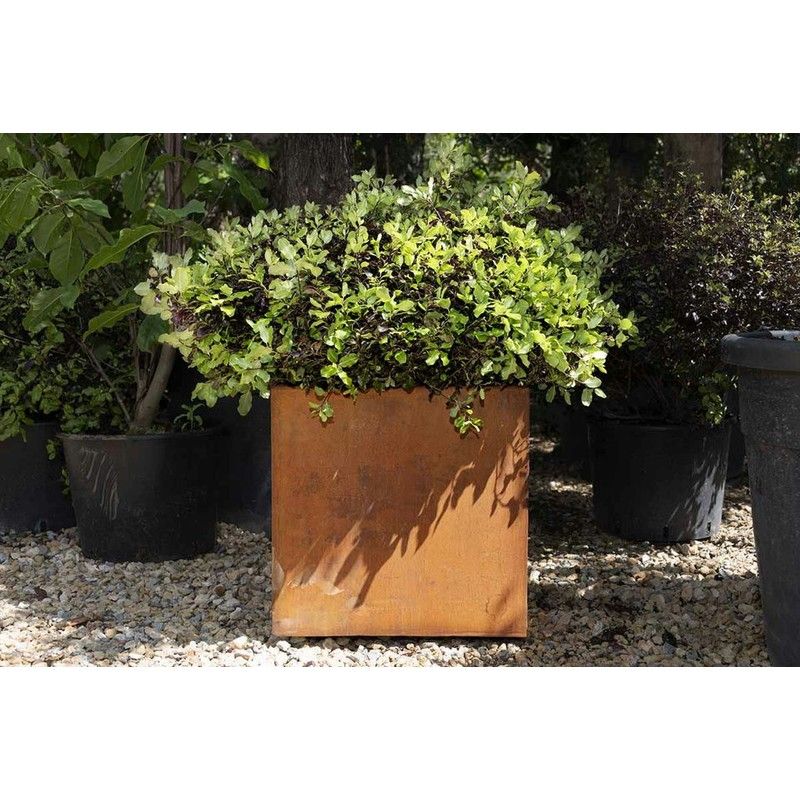 Corten Steel Cube Planter - 500mm x 500mm x 500mm