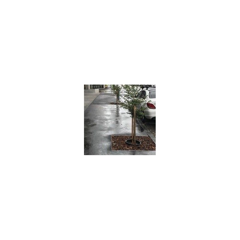 Terravault Root Protection System - 12 SQM Shallow Flat Packed